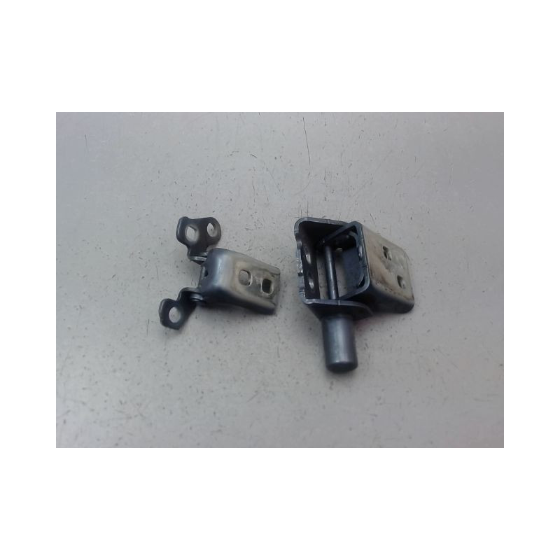 CHARNIÈRE PORTE AVD RENAULT CLIO III Phase 1 2005-2009