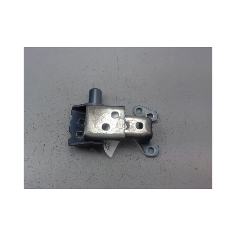 CHARNIÈRE PORTE AVG RENAULT CLIO III Phase 1 2005-2009