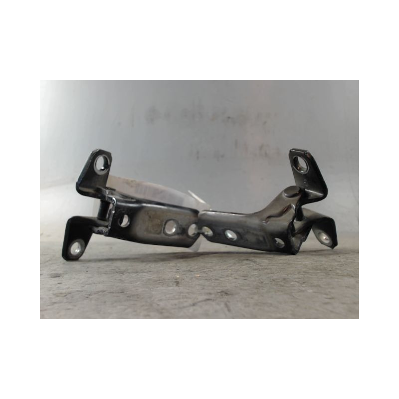 CHARNIÈRE PORTE AVG CITROEN C4 AIRCR.
