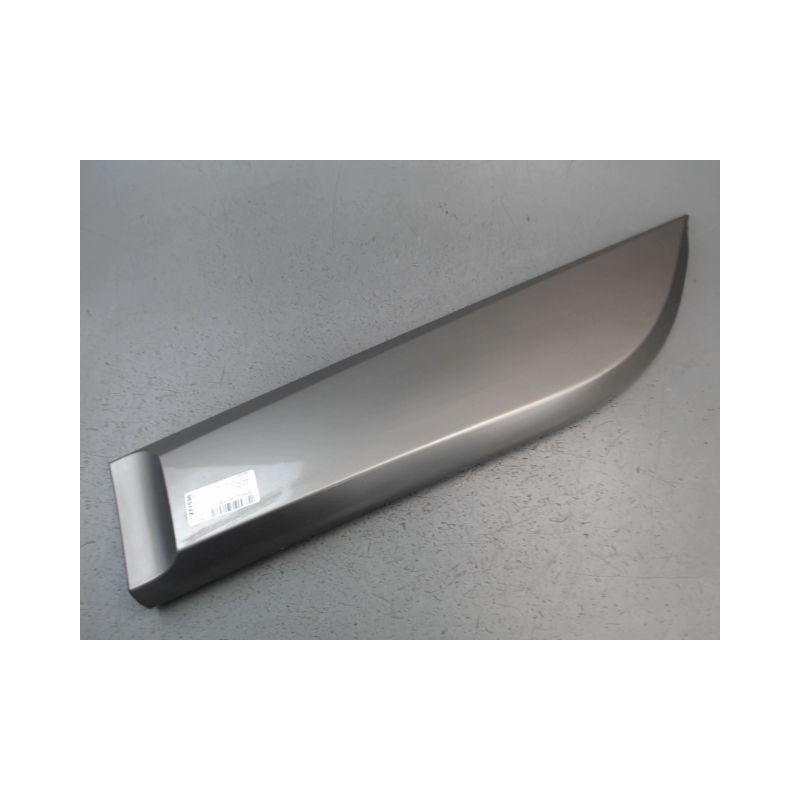 PROTECTION PORTE ARRIERE GAUCHE RENAULT MEGANE