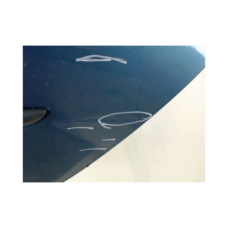 PORTE ARRIERE GAUCHE RENAULT CLIO III 2009-