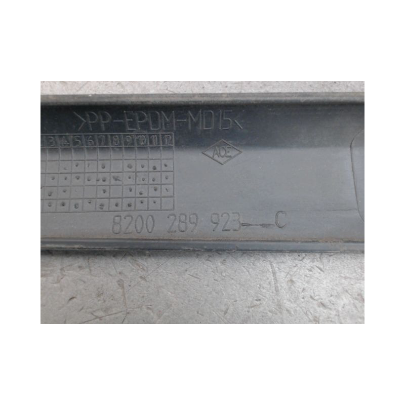 PROTECTION PORTE ARRIERE GAUCHE RENAULT CLIO