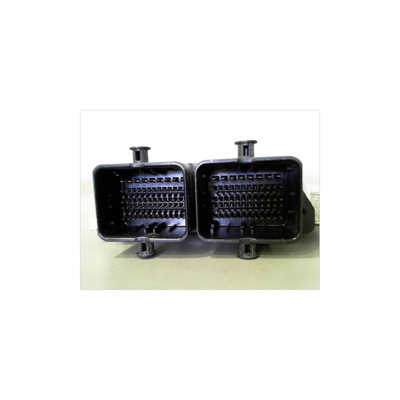 CALCULATEUR MOTEUR SUZUKI SWIFT 05-11