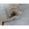 RESERVOIR LAVE-GLACE AVANT AUDI A3