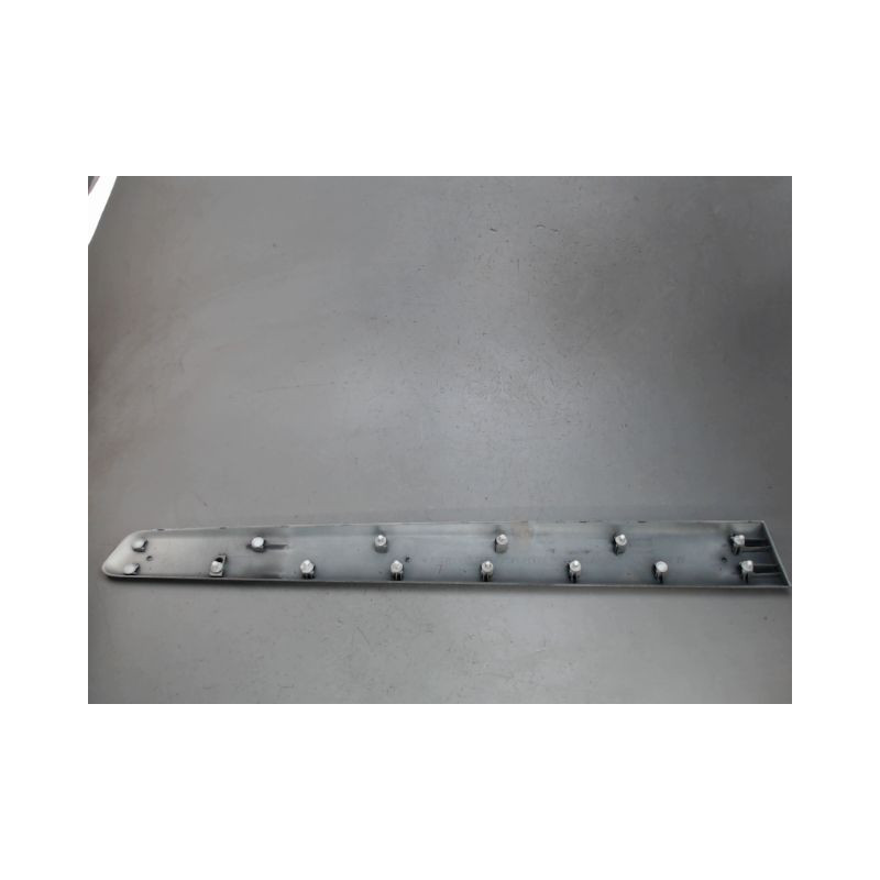 PROTECTION PORTE AVANT GAUCHE PEUGEOT PARTNER