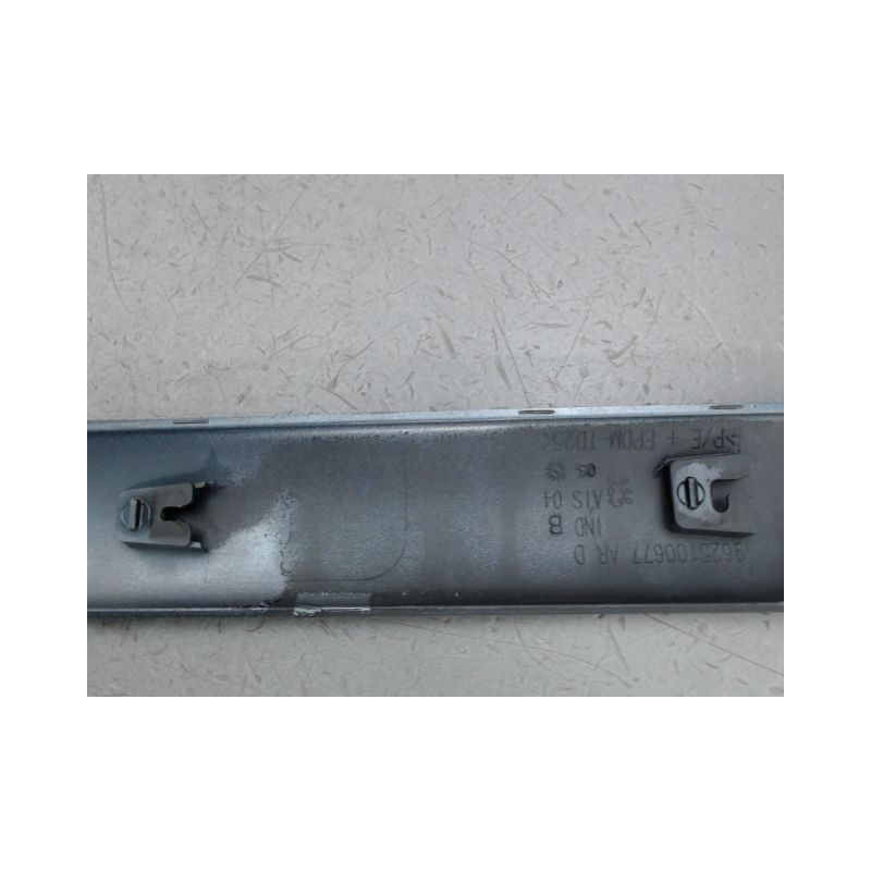 PROTECTION PORTE ARRIERE DROIT PEUGEOT 206