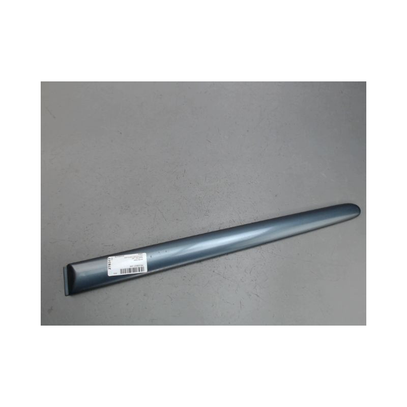 PROTECTION PORTE ARRIERE GAUCHE PEUGEOT 206