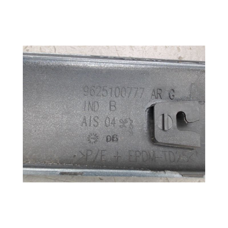 PROTECTION PORTE ARRIERE GAUCHE PEUGEOT 206