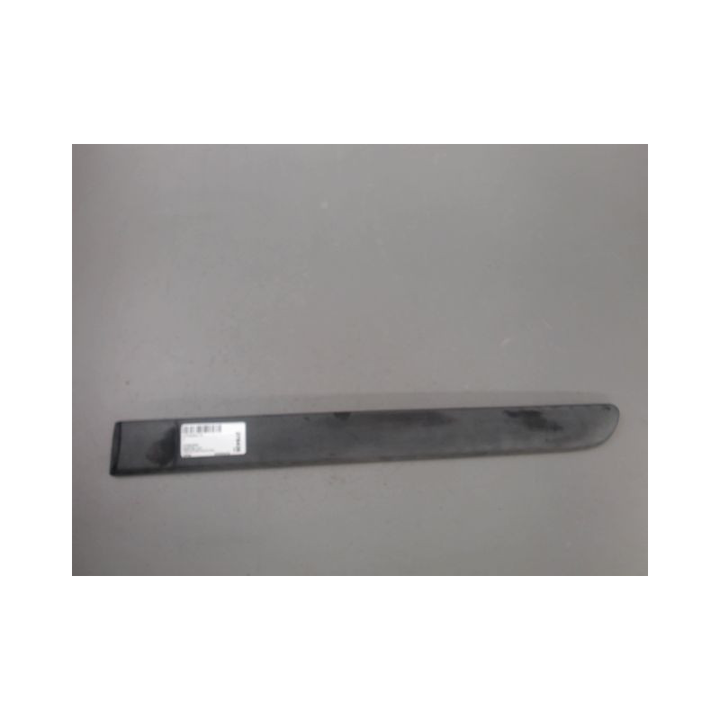 PROTECTION PORTE ARRIERE GAUCHE CITROEN C3