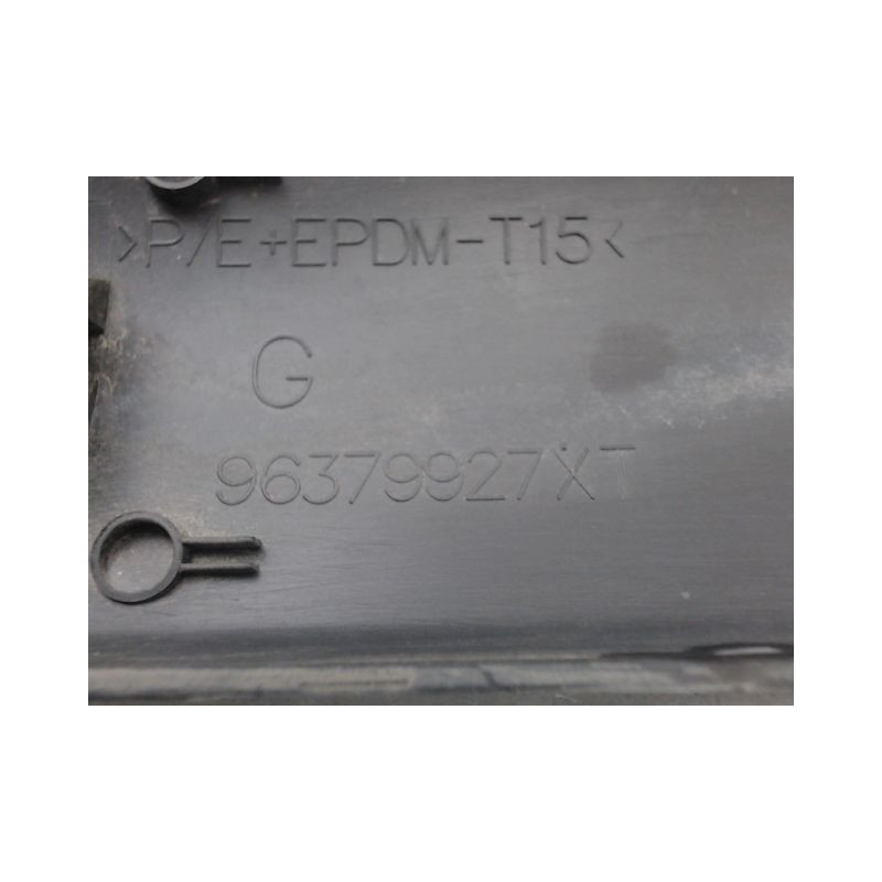 PROTECTION PORTE ARRIERE GAUCHE CITROEN C3
