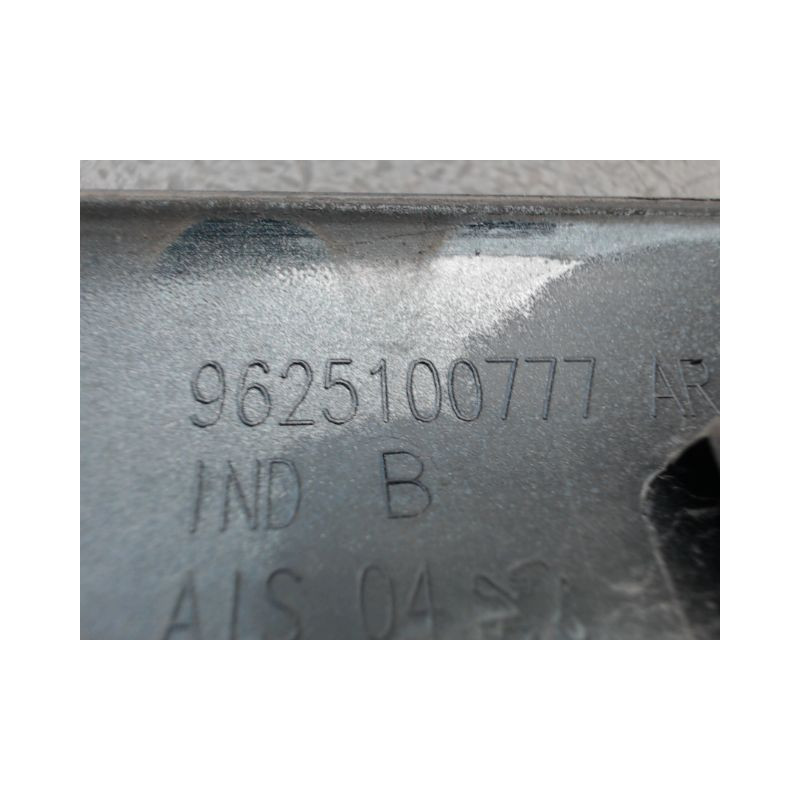 PROTECTION PORTE ARRIERE GAUCHE PEUGEOT 206