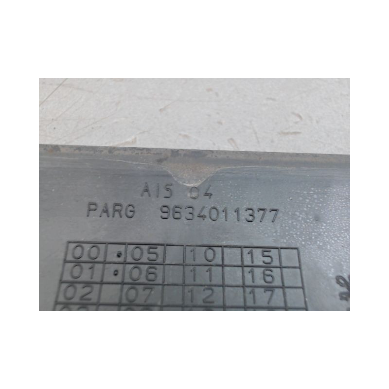 PROTECTION PORTE ARRIERE GAUCHE PEUGEOT 307