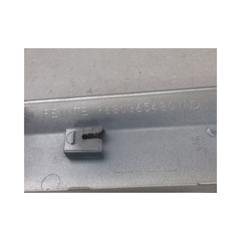 PROTECTION PORTE ARRIERE GAUCHE PEUGEOT 308