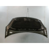 CAPOT CITROEN DS3