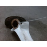 REPETITEUR AILE DROIT HYUNDAI ATOS