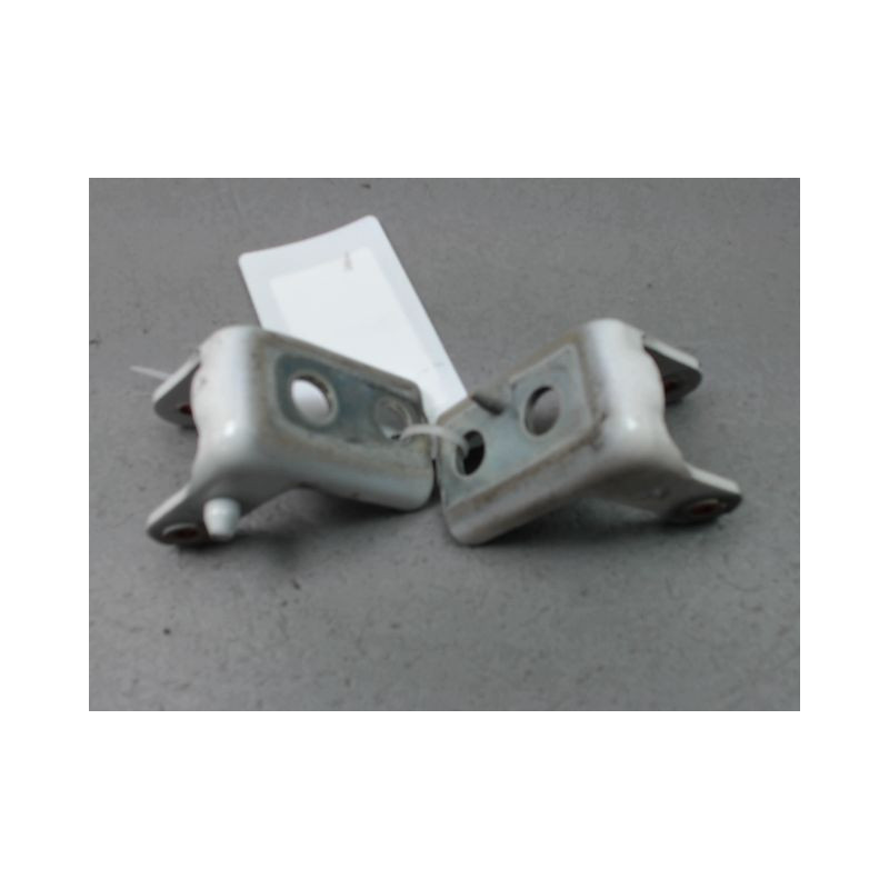 CHARNIÈRE PORTE ARG PEUGEOT 208 Phase 1 2012-...