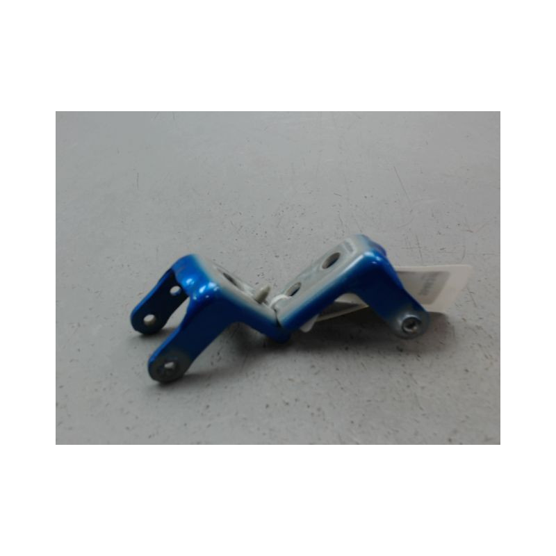 CHARNIÈRE PORTE AVG PEUGEOT 208 2012-...