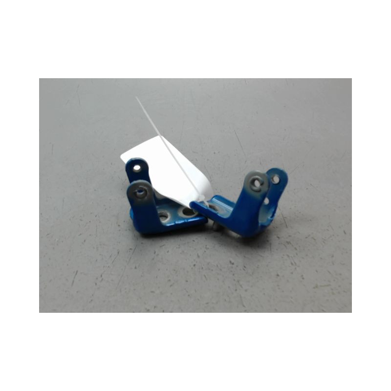 CHARNIÈRE PORTE AVG PEUGEOT 208 2012-...