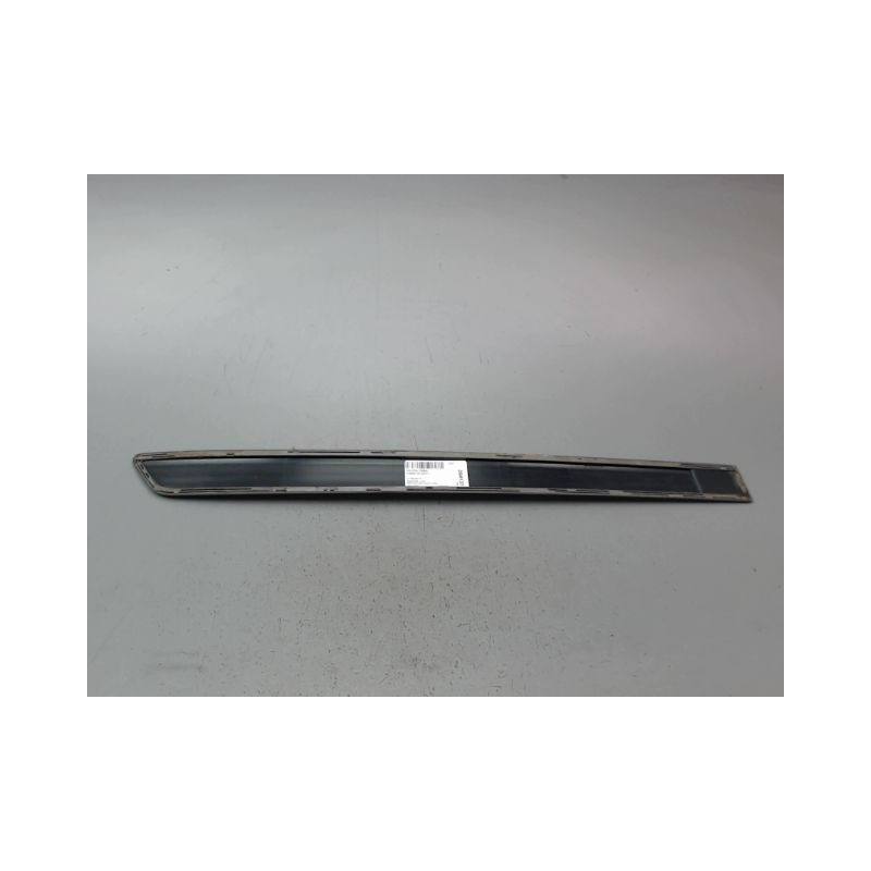 PROTECTION PORTE ARRIERE GAUCHE SKODA FABIA 2007-