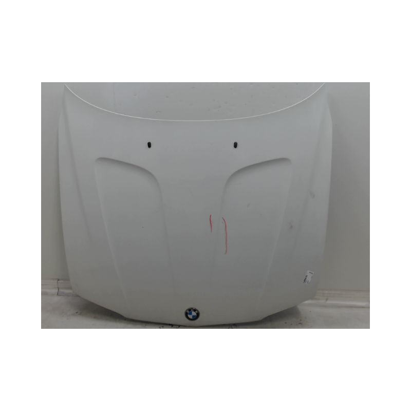 CAPOT BMW X3 2006-