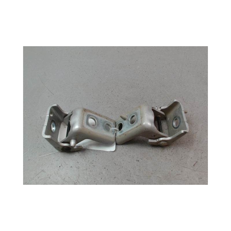 CHARNIÈRE PORTE ARG PEUGEOT 208 Phase 1 2012-...