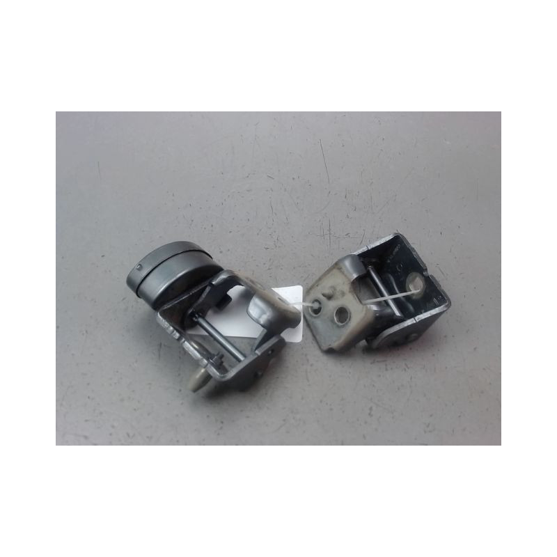 CHARNIÈRE PORTE AVD CITROEN C3 PICASSO MONOSP. Phase 1 2009-2012