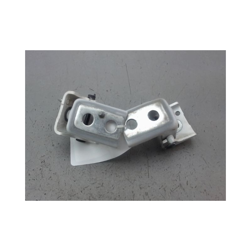 CHARNIÈRE PORTE ARD PEUGEOT 208 Phase 1 2012-...