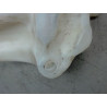 RESERVOIR LAVE-GLACE AVANT CITROEN BERLINGO
