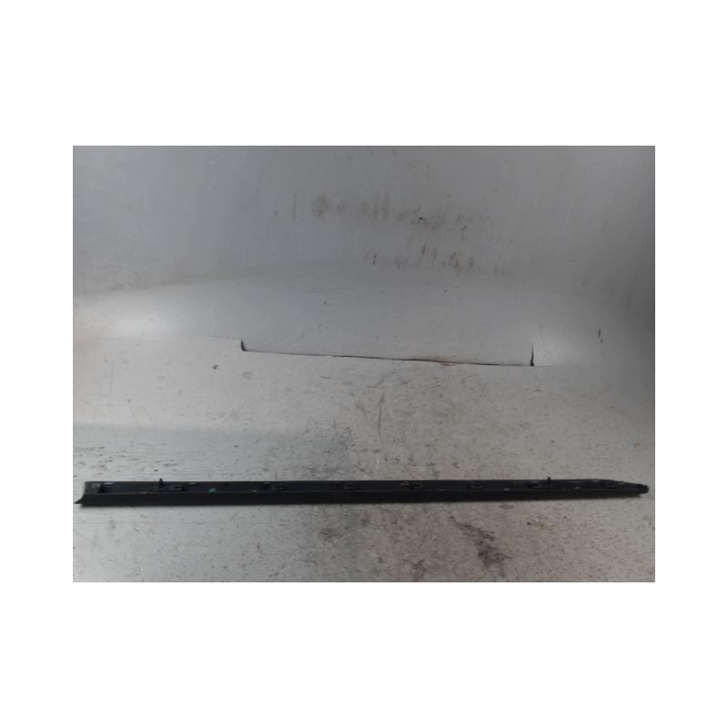 PROTECTION PORTE AVANT GAUCHE RENAULT CLIO