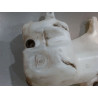 RESERVOIR LAVE-GLACE AVANT FORD ECOSPORT