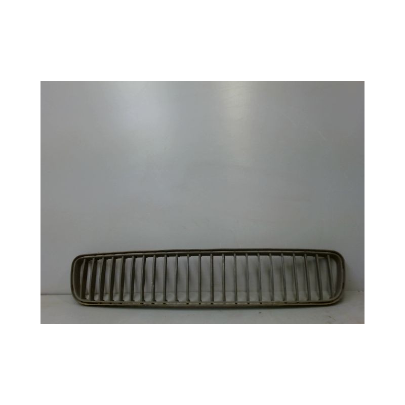 GRILLE PARE-CHOC AVANT SKODA FABIA