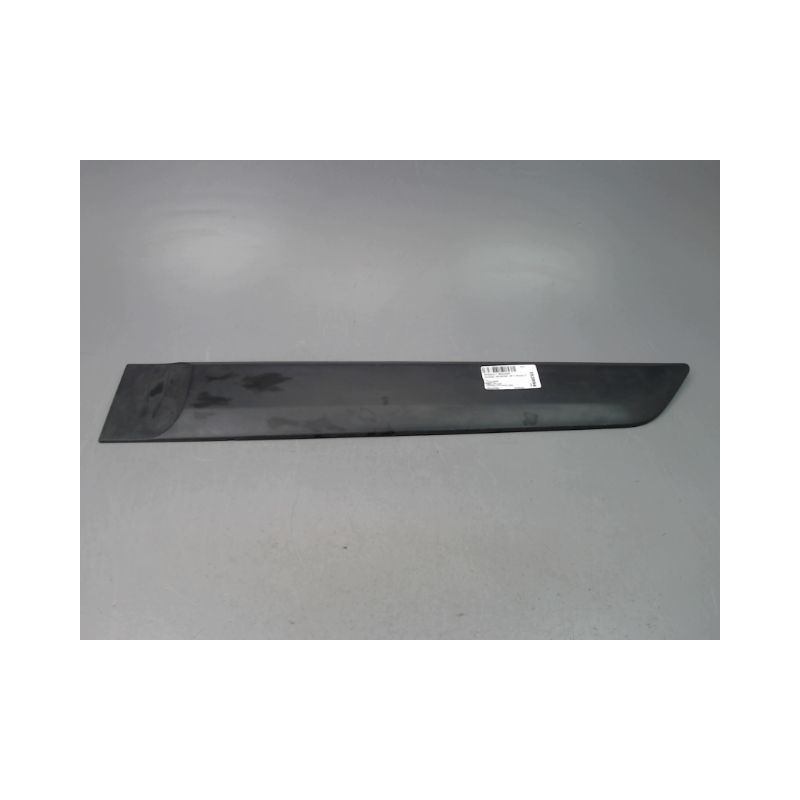 PROTECTION PORTE ARRIERE GAUCHE RENAULT SCENIC MONOSP. II Phase 2 2006-2009