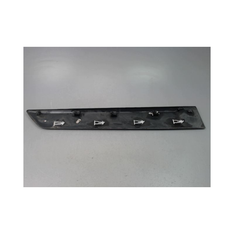 PROTECTION PORTE ARRIERE GAUCHE RENAULT SCENIC MONOSP. II Phase 2 2006-2009