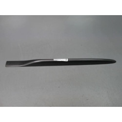PROTECTION PORTE ARG