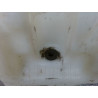 RESERVOIR LAVE-GLACE AVANT OPEL MERIVA 2003-2005