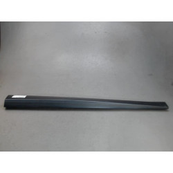 PROTECTION PORTE AVD