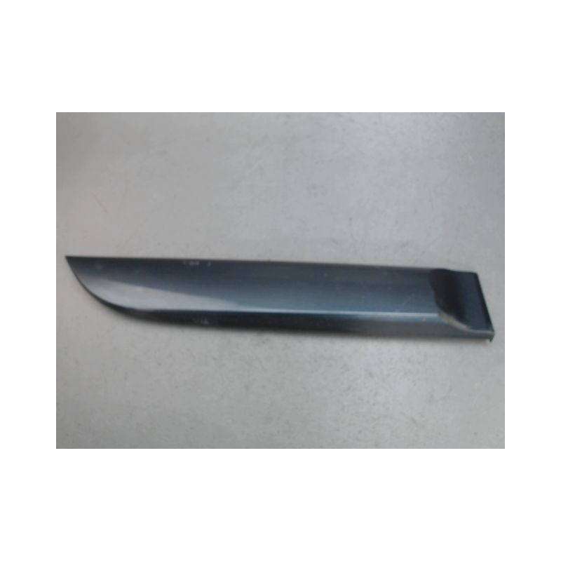 PROTECTION PORTE ARRIERE DROIT RENAULT MEGANE