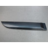 PROTECTION PORTE ARRIERE DROIT RENAULT MEGANE