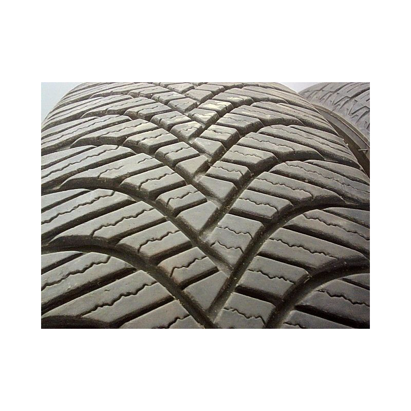 Paire de pneus TRAZANO ALL SEASON ELITE Z-401 195 55 16 91 V