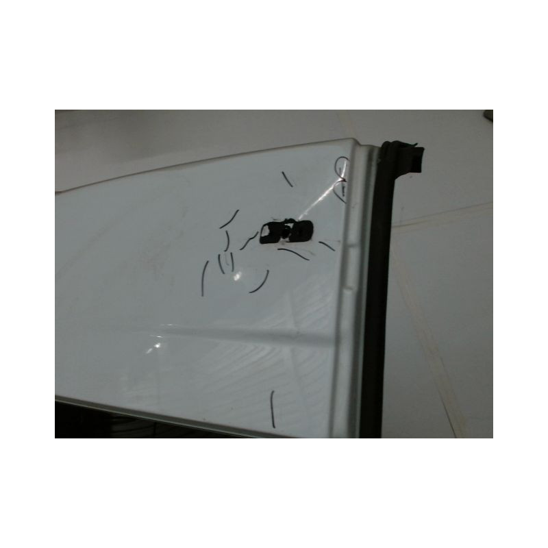 PORTE BATTANTE ARRIERE GAUCHE OPEL MOVANO