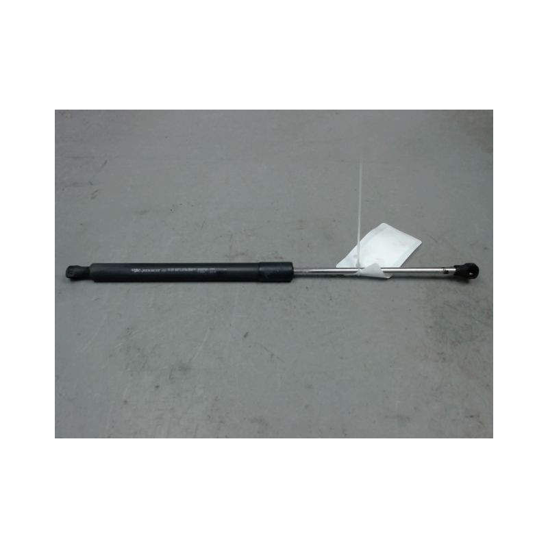 VERIN HAYON G RENAULT CLIO III 2005-