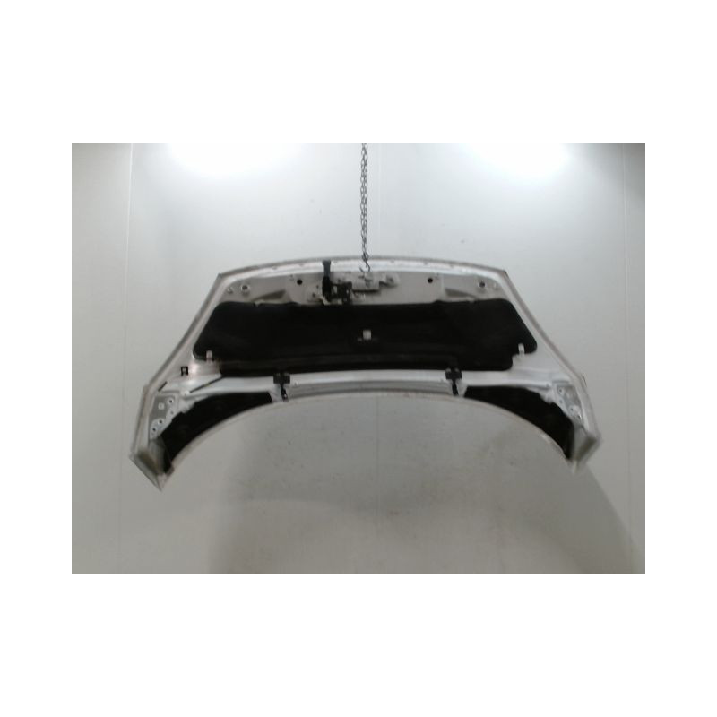 CAPOT RENAULT SCENIC MONOSP. III Phase 3 2013-...