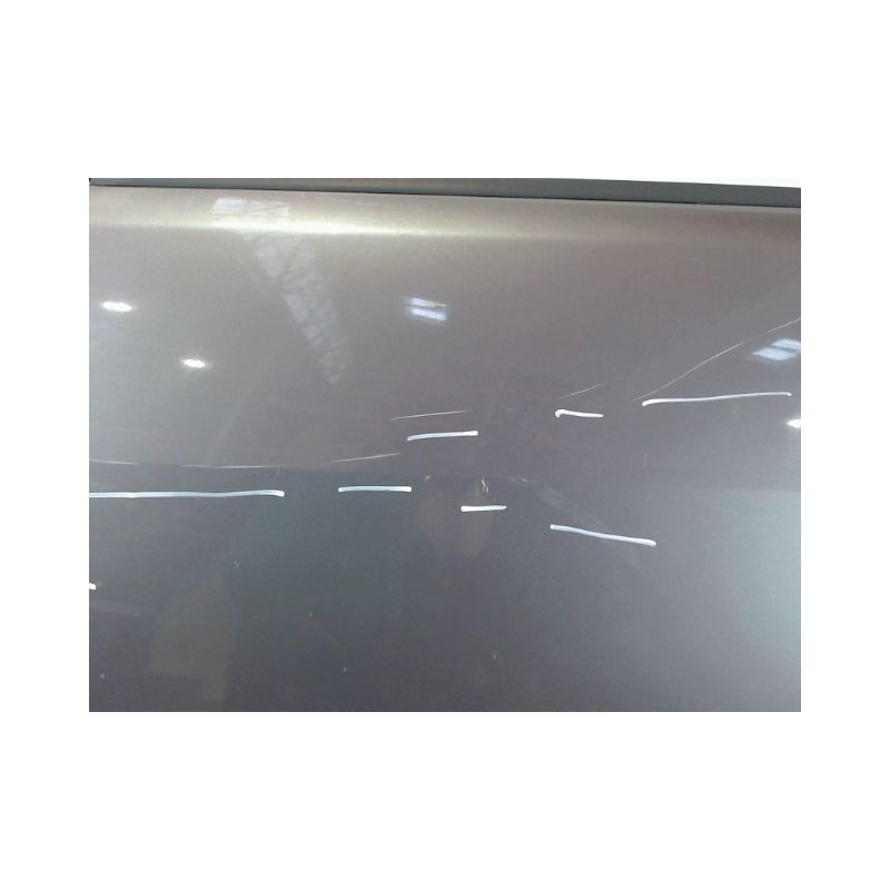 PORTE AVANT GAUCHE RENAULT MEGANE II PH1 C.C 03-05