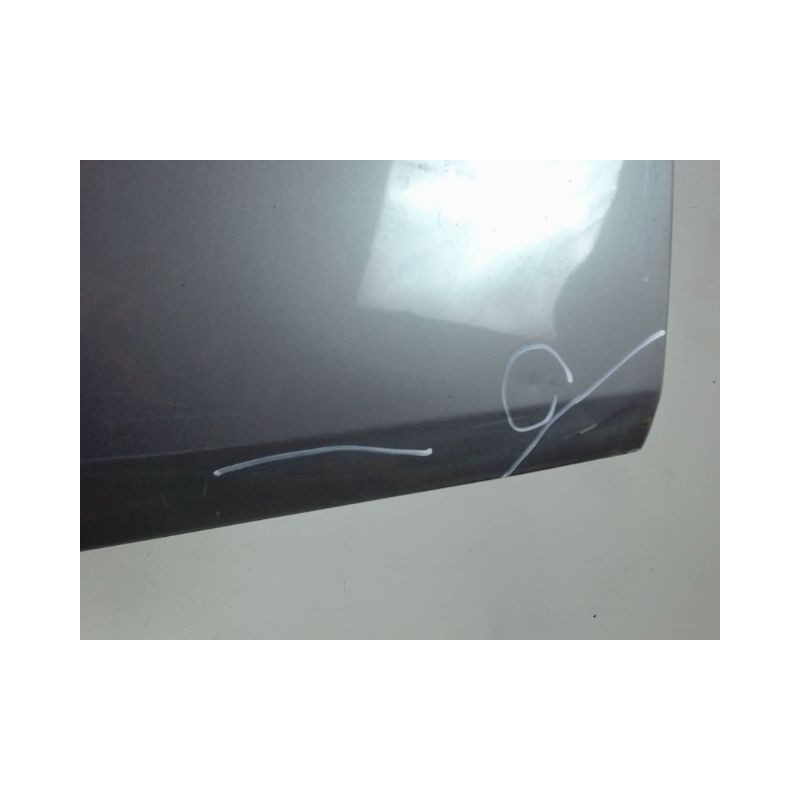 PORTE AVANT GAUCHE RENAULT MEGANE II PH1 C.C 03-05