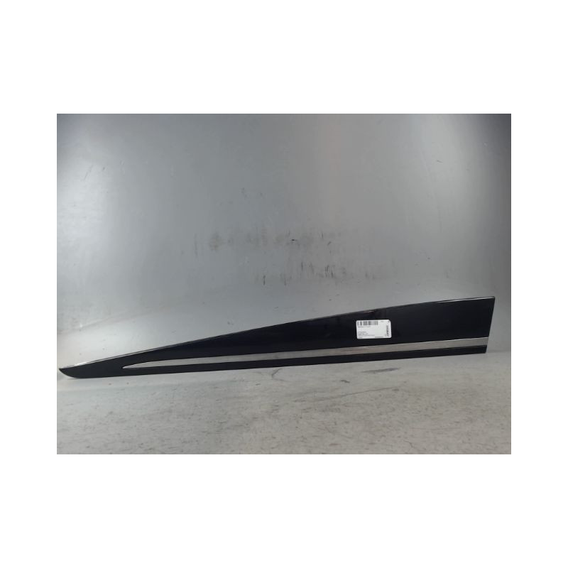 PROTECTION PORTE AVANT GAUCHE RENAULT CLIO