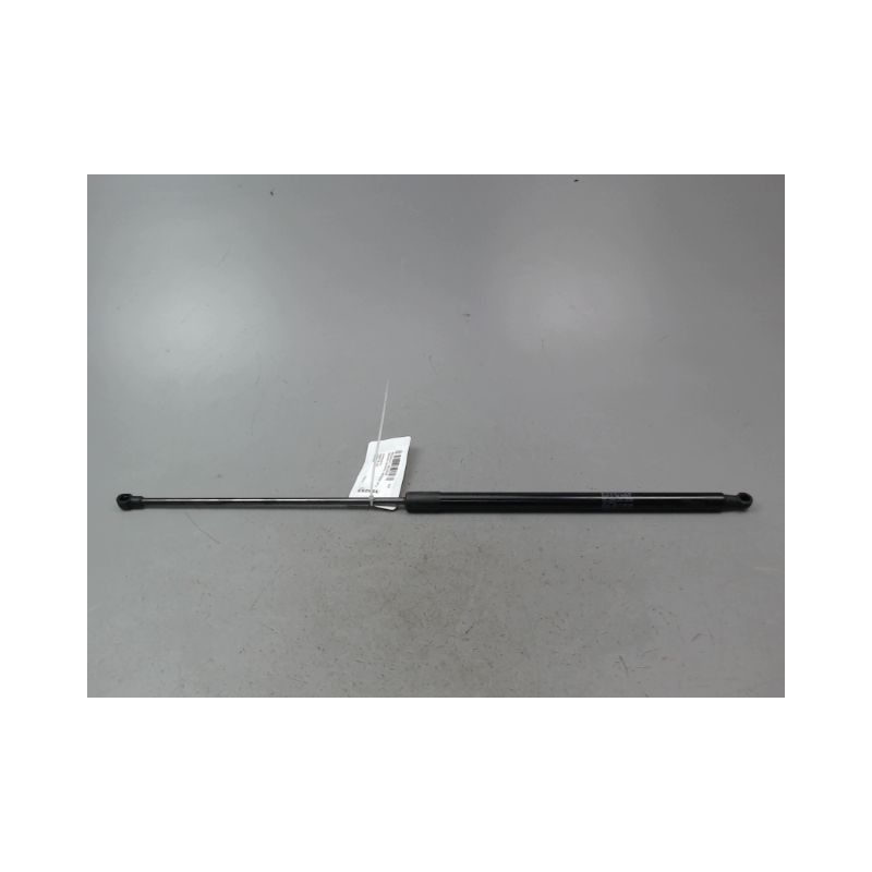VERIN HAYON G RENAULT GRAND SCENIC MONOSP. III Phase 2 LONG 2011-2013