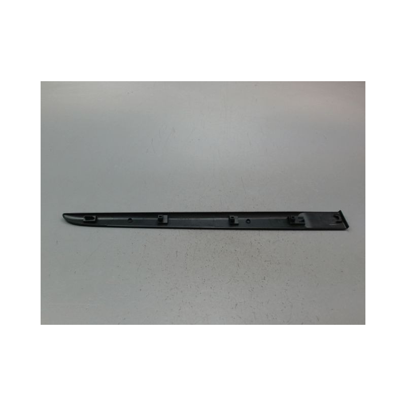 PROTECTION PORTE ARRIERE GAUCHE RENAULT CLIO III Phase 1 2005-2009