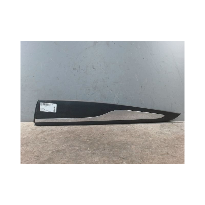 PROTECTION PORTE ARRIERE GAUCHE RENAULT CLIO