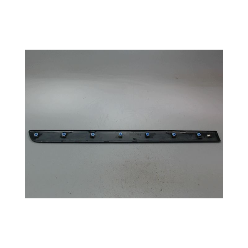 PROTECTION PORTE AVANT DROIT RENAULT KANGOO EXPRESS II Phase 2 2013-...