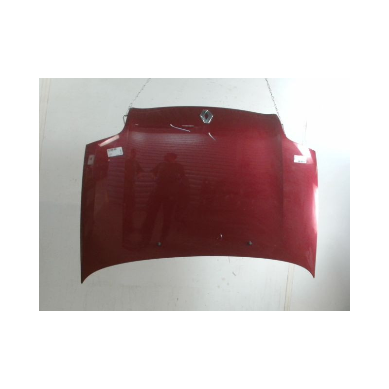 CAPOT RENAULT CLIO